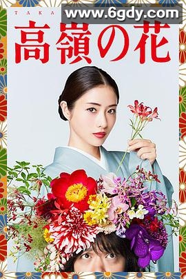 高岭之花(2018)完结10集全迅雷网盘全集下载