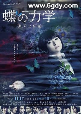 蝶之力学 杀人分析班(2019)完结已完结迅雷网盘全集下载