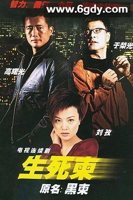 生死柬(2003)完结已完结迅雷网盘全集下载