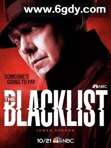 罪恶黑名单 第九季(2021)完结22集全迅雷网盘全集下载