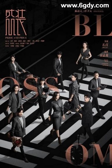 盛装(2022)完结29集全迅雷网盘全集下载