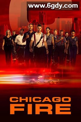 芝加哥烈焰 第八季(2019)完结20集全迅雷网盘全集下载