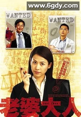 老婆大人(2005)完结20集全迅雷网盘全集下载