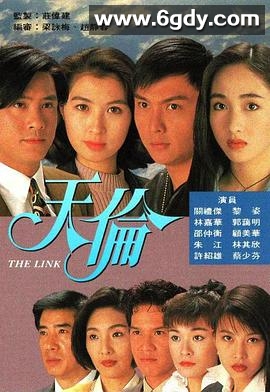 天伦(1993)完结40集全迅雷网盘全集下载