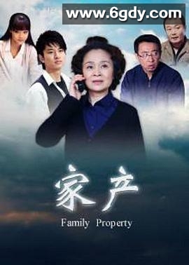 家产(2011)完结已完结迅雷网盘全集下载