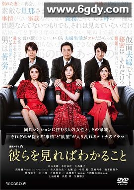 看到他们就会明白(2020)完结8集全迅雷网盘全集下载