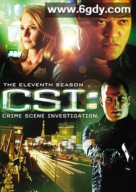 犯罪现场调查 第十一季(2010)完结22集全迅雷网盘全集下载