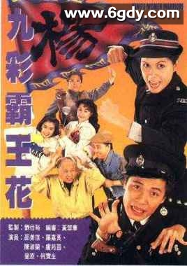 九彩霸王花(1993)完结20集全迅雷网盘全集下载