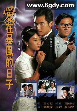 爱在暴风的日子(1995)完结20集全迅雷网盘全集下载