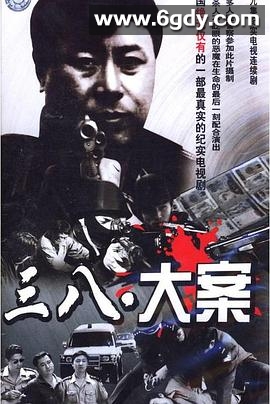 沈阳三八大案侦破纪实(2009)完结已完结迅雷网盘全集下载
