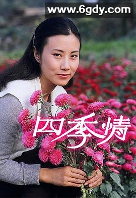 四季情(1981)完结更新至第25集迅雷网盘全集下载