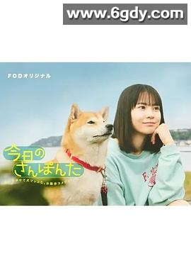 今日份的散步(2025)完结已完结迅雷网盘全集下载