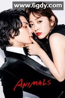 动物(2022)完结8集全迅雷网盘全集下载