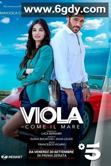 紫色的海 第一季(2022)完结12集全迅雷网盘全集下载