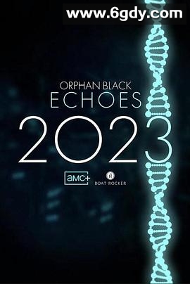 黑色孤儿：回响(2023)完结10集全迅雷网盘全集下载