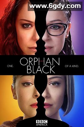 黑色孤儿 第三季(2015)完结10集全迅雷网盘全集下载