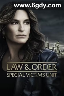 法律与秩序：特殊受害者 第二十六季(2024)完结22集全迅雷网盘全集下载