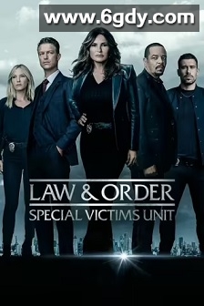 法律与秩序：特殊受害者 第二十四季(2022)完结22集全迅雷网盘全集下载