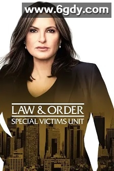 法律与秩序：特殊受害者 第二十三季(2021)完结22集全迅雷网盘全集下载