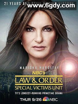 法律与秩序：特殊受害者 第二十一季(2019)完结20集全迅雷网盘全集下载