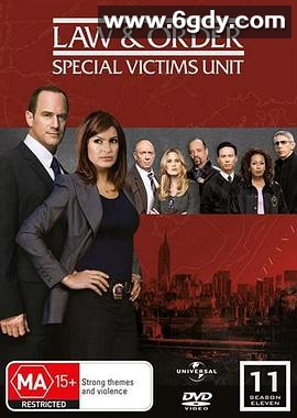法律与秩序：特殊受害者 第十一季(2009)完结24集全迅雷网盘全集下载