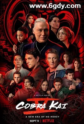 眼镜蛇 第五季(2022)完结10集全迅雷网盘全集下载