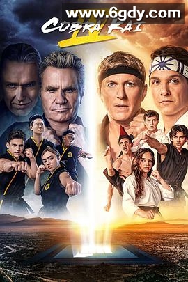 眼镜蛇 第四季(2021)完结10集全迅雷网盘全集下载