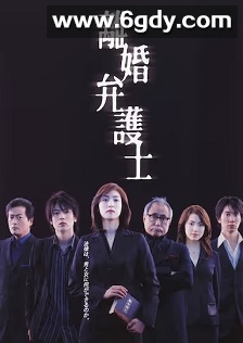 离婚女律师(2004)完结11集全迅雷网盘全集下载