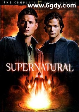 邪恶力量 第五季(2009)完结22集全迅雷网盘全集下载