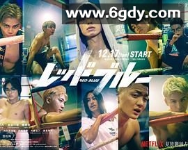 红蓝(2024)完结已完结迅雷网盘全集下载