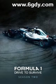 一级方程式：疾速争胜 第二季(2020)完结10集全迅雷网盘全集下载