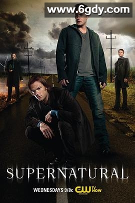 邪恶力量 第八季(2012)完结23集全迅雷网盘全集下载