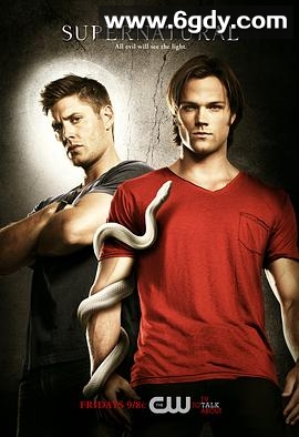 邪恶力量 第六季(2010)完结22集全迅雷网盘全集下载