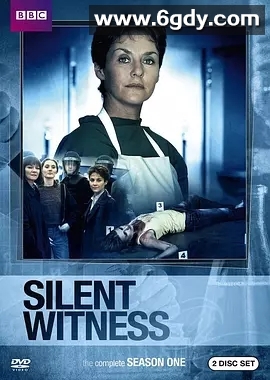 无声的证言 第一季(1996)完结第8集迅雷网盘全集下载