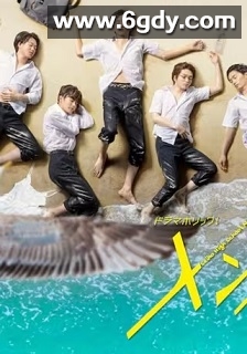 型男高中(2020)完结12集全迅雷网盘全集下载