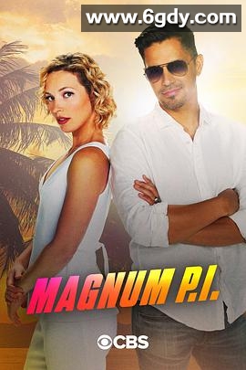 新夏威夷神探 第三季(2020)完结16集全迅雷网盘全集下载