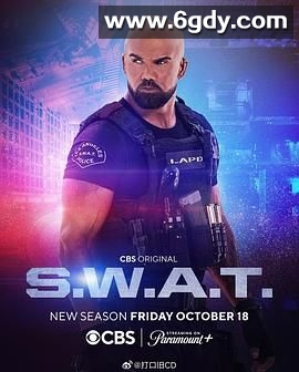 反恐特警组 第八季(2024)完结全22集迅雷网盘全集下载