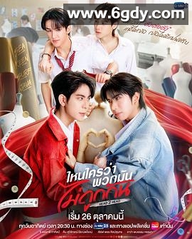 不是鸳家不聚头(2025)完结已完结迅雷网盘全集下载