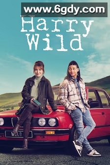 野探哈莉 第三季(2024)完结9集全迅雷网盘全集下载