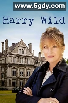 野探哈莉 第一季(2022)完结8集全迅雷网盘全集下载