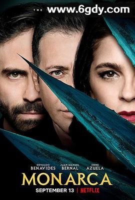 女当家(2019)完结10集全迅雷网盘全集下载