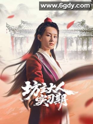 坊主大人实习期(2026)完结已完结迅雷网盘全集下载