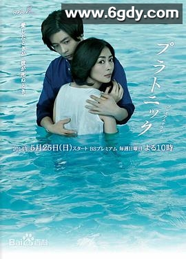 柏拉图式(2014)完结已完结迅雷网盘全集下载