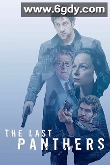 最后的粉红豹(2015)完结6集全迅雷网盘全集下载