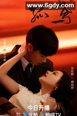 孤鸢(2025)完结全24集迅雷网盘全集下载