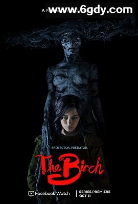 白桦林的女巫 第一季(2019)完结14集全迅雷网盘全集下载