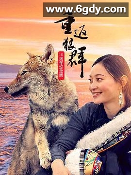 重返狼群——10周年纪念版(2021)完结10集全迅雷网盘全集下载