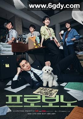 公益律师(2025)完结12集全迅雷网盘全集下载