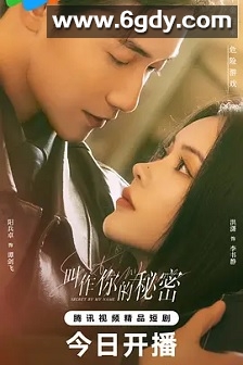叫作你的秘密(2025)完结全24集迅雷网盘全集下载
