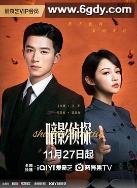 暗影侦探(2025)完结全24集迅雷网盘全集下载